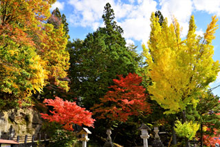 日枝神社（高山市）の紅葉写真１
