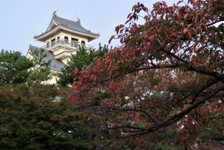 長浜城歴史博物館の紅葉写真１