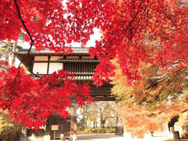 弘前公園 紅葉の様子