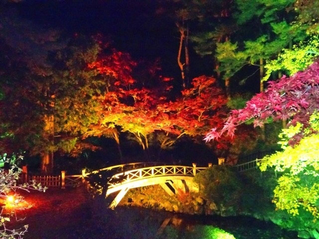 見晴公園 旧岩船氏庭園 香雪園 の紅葉 紅葉情報