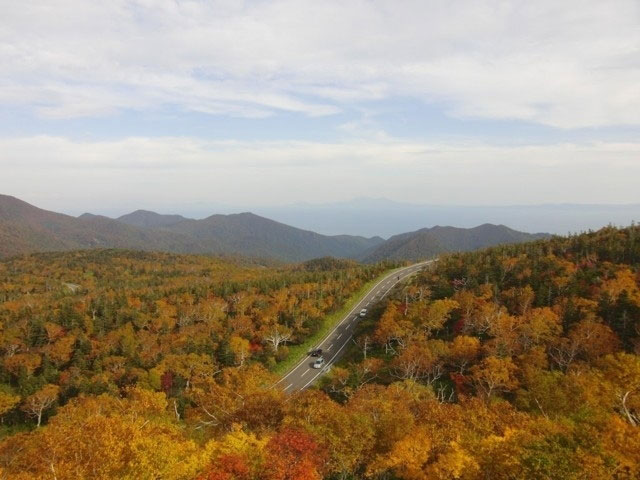 知床峠の紅葉 紅葉情報