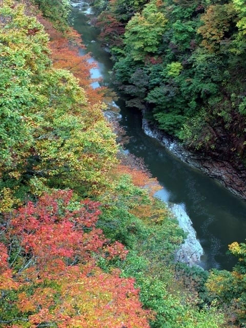 小安峡の紅葉 紅葉情報