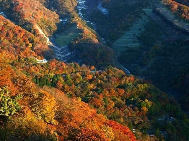 日光いろは坂の紅葉 紅葉情報