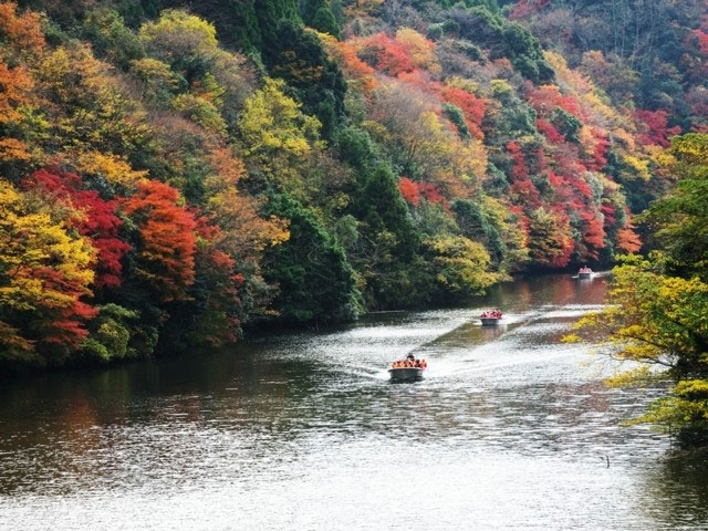 亀山湖の紅葉 紅葉情報