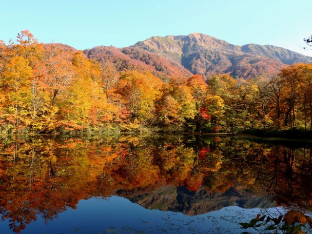 刈込池の紅葉 紅葉情報