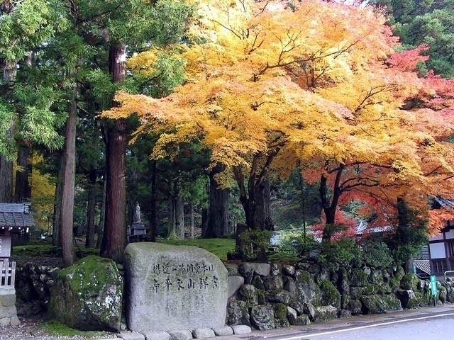 永平寺の紅葉 紅葉情報