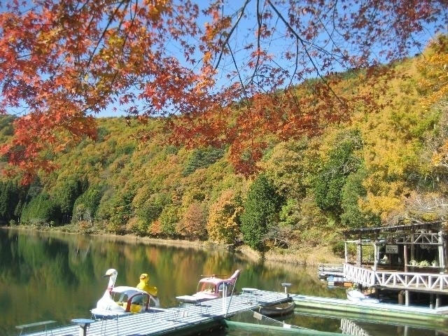 四尾連湖の紅葉 紅葉情報