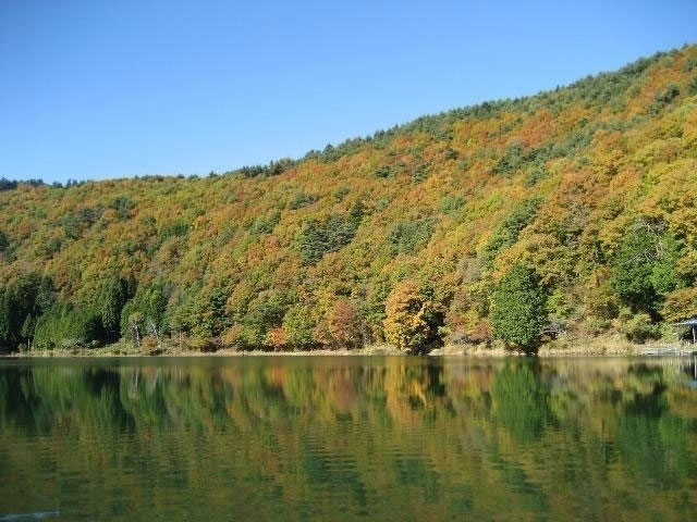 四尾連湖の紅葉 紅葉情報