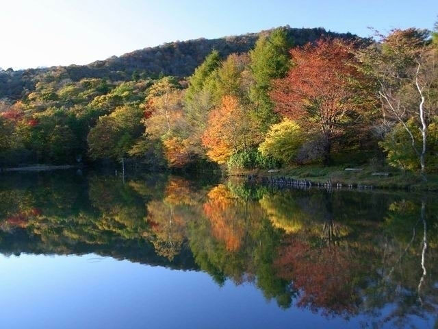 茶臼山高原の紅葉 紅葉情報