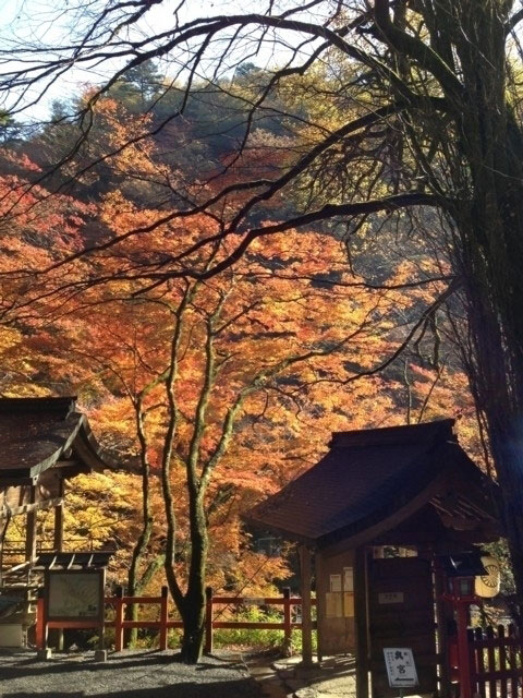 貴船神社の紅葉 紅葉情報