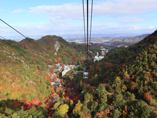 六甲山の紅葉 紅葉情報