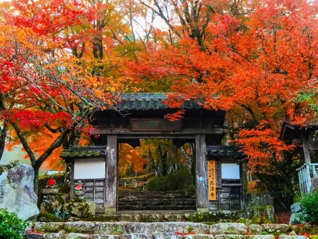 高源寺の紅葉 紅葉情報