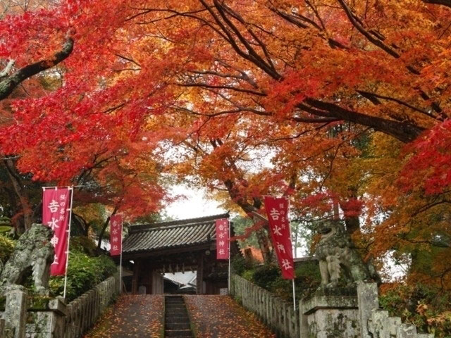 吉野山の紅葉 紅葉情報2020