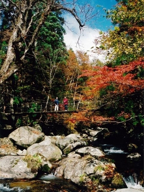 芦津渓谷の紅葉 紅葉情報