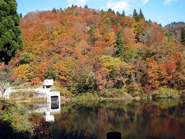 芦津渓谷の紅葉 紅葉情報