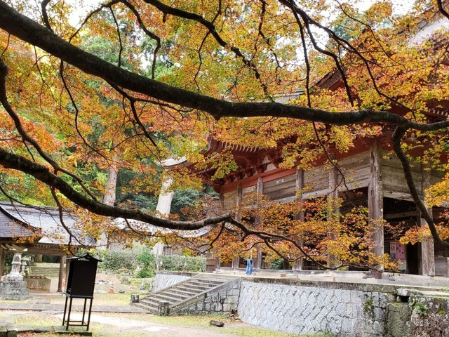 鰐淵寺の紅葉 紅葉情報