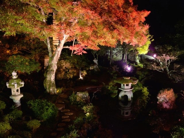 堀庭園の紅葉 紅葉情報