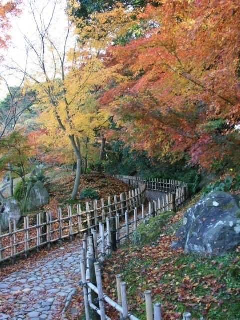 特別名勝 栗林公園の紅葉 紅葉情報2020