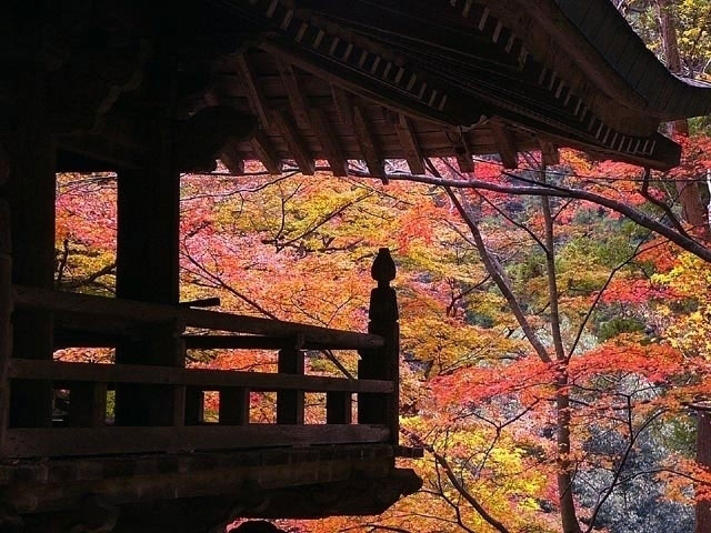 大窪寺の紅葉 紅葉情報