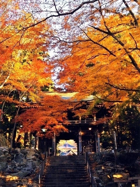 大窪寺の紅葉 紅葉情報