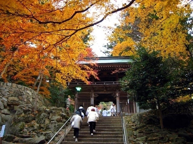 大窪寺の紅葉 紅葉情報