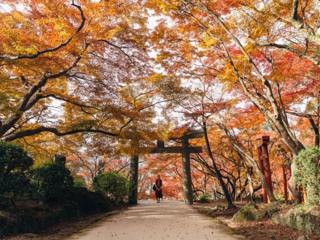 宝満宮竈門神社の紅葉 紅葉情報