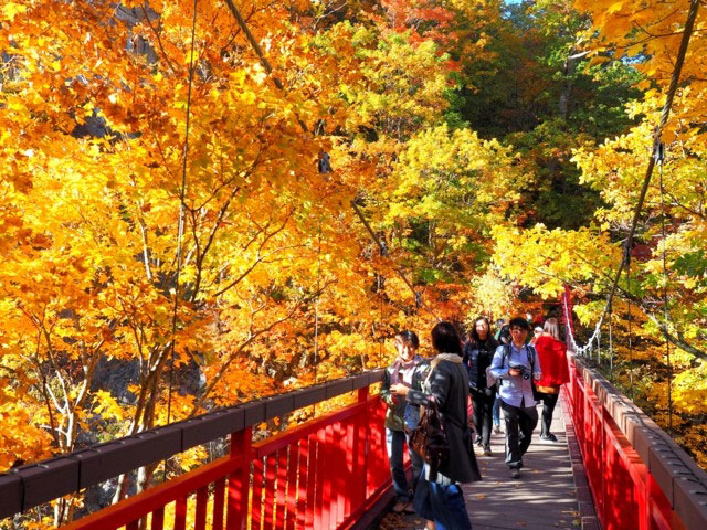 定山渓の紅葉 紅葉情報21