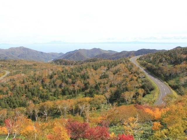 知床峠の紅葉 紅葉情報21