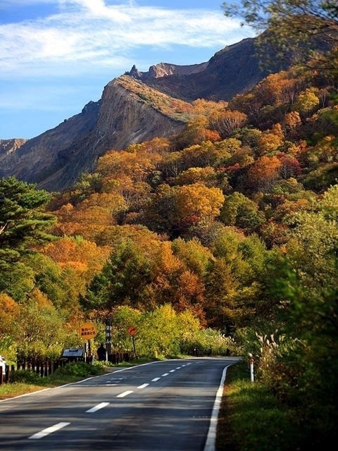磐梯山ゴールドラインの紅葉 紅葉情報21