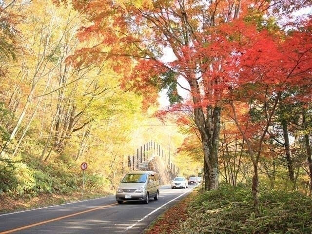 日塩もみじラインの紅葉 紅葉情報21