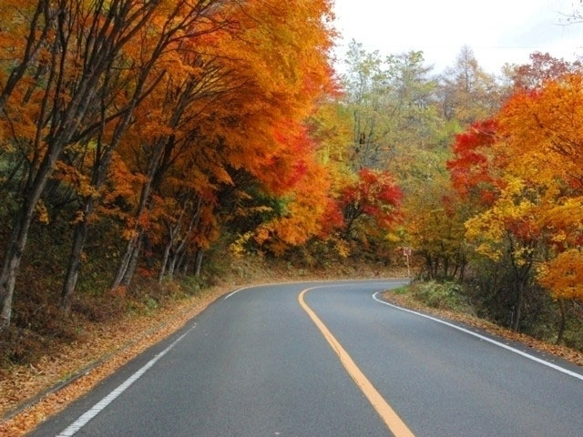 日塩もみじラインの紅葉 紅葉情報21