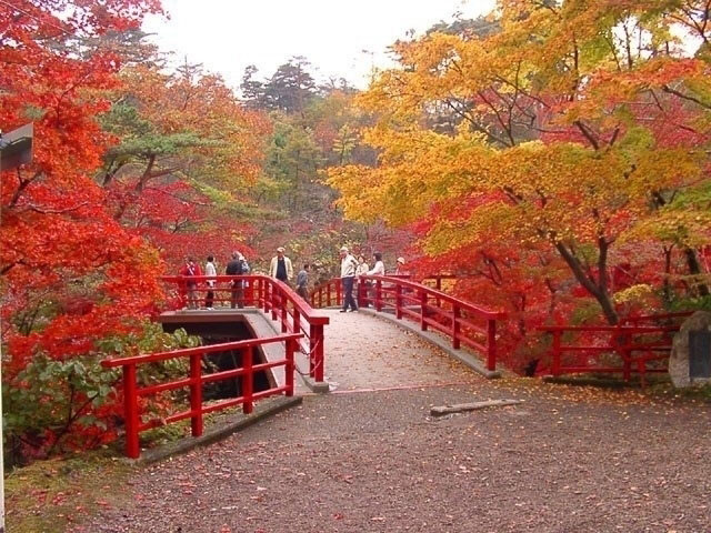 弥彦公園もみじ谷の紅葉 紅葉情報21