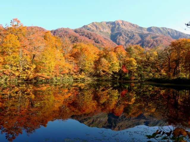 刈込池の紅葉 紅葉情報21