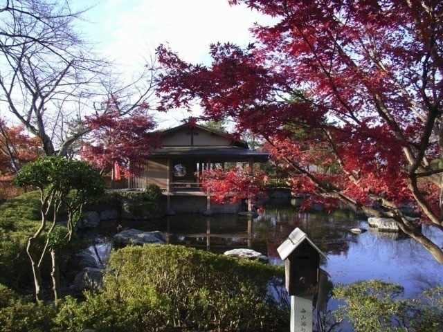 西山公園の紅葉 紅葉情報21