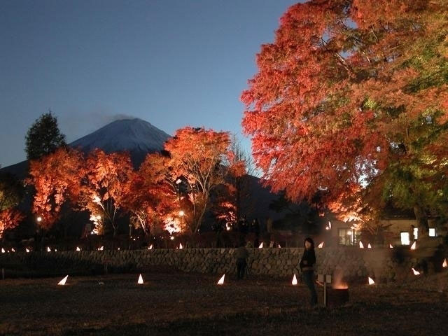 河口湖畔もみじ回廊の紅葉 紅葉情報21