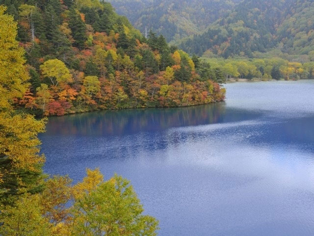 志賀高原の紅葉 紅葉情報21