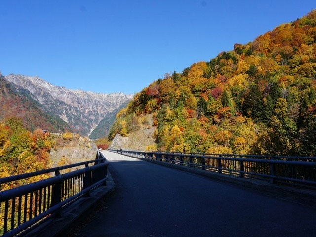 新穂高の紅葉 紅葉情報21
