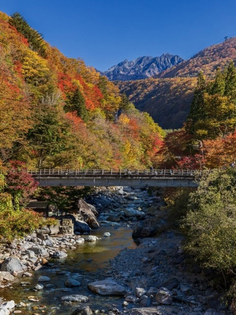 新穂高の紅葉 紅葉情報21