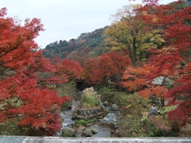 熱海梅園の紅葉 紅葉情報2021