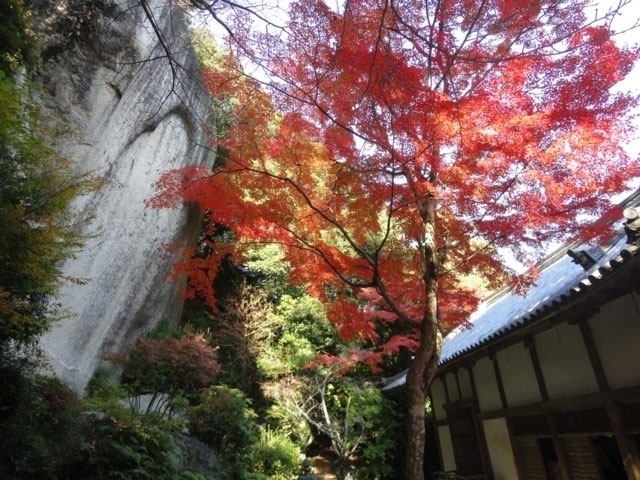 笠置山自然公園の紅葉 紅葉情報21