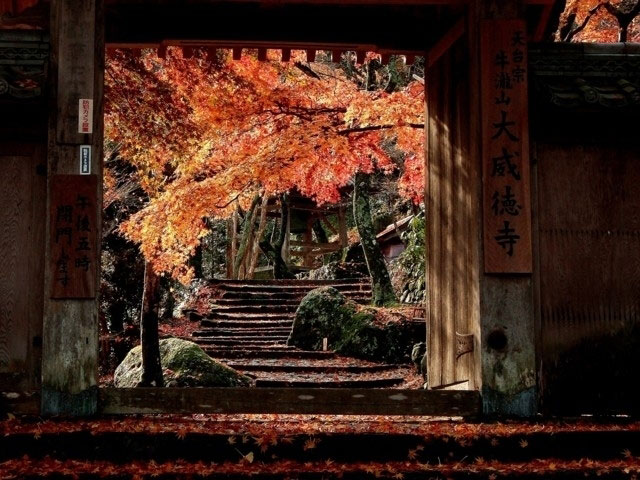 大威徳寺の紅葉 紅葉情報21