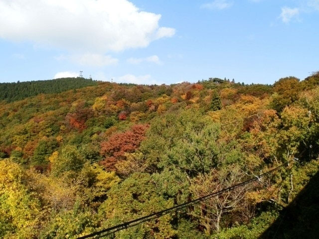 金剛山の紅葉 紅葉情報21