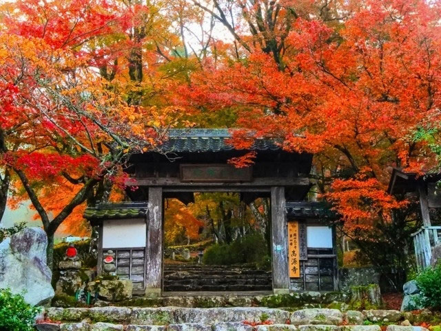 高源寺の紅葉 紅葉情報21