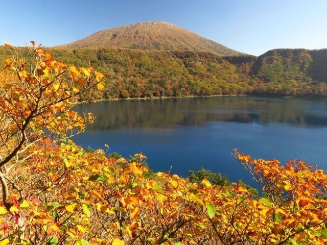 県道1号線 小林えびの高原牧園線 の紅葉 紅葉情報21