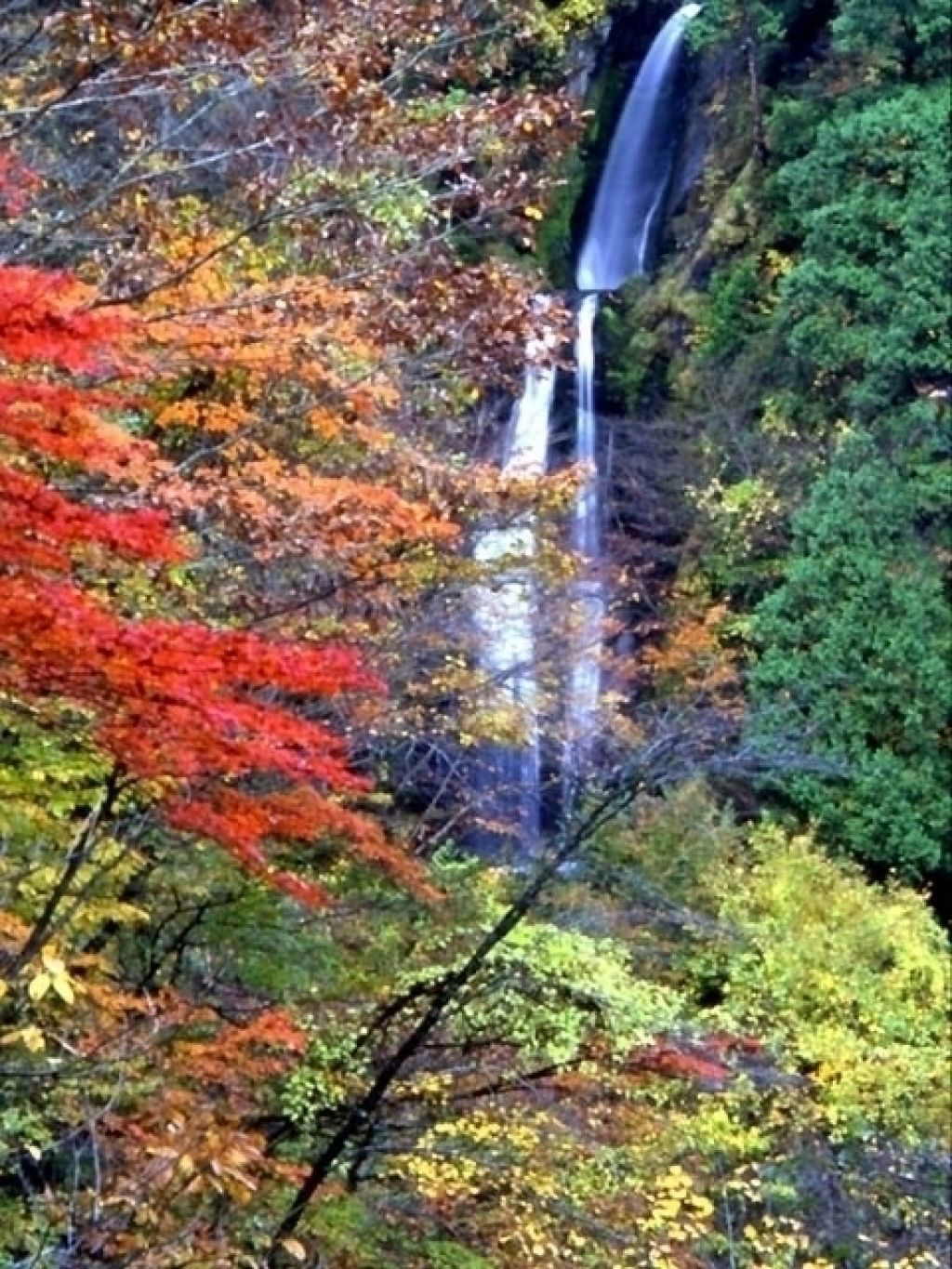 抱返り渓谷の紅葉 紅葉情報22