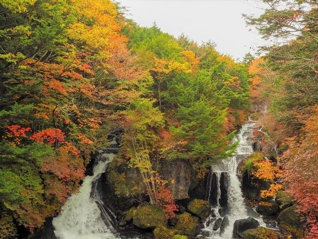 竜頭ノ滝の紅葉 紅葉情報22