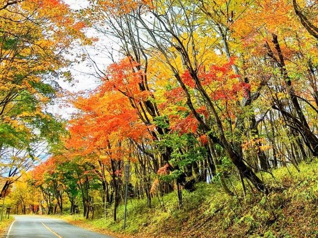 日塩もみじラインの紅葉 紅葉情報22