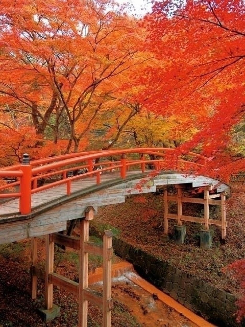 伊香保温泉 湯元 河鹿橋 の紅葉 紅葉情報22