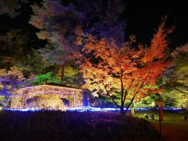国営武蔵丘陵森林公園の紅葉 紅葉情報22