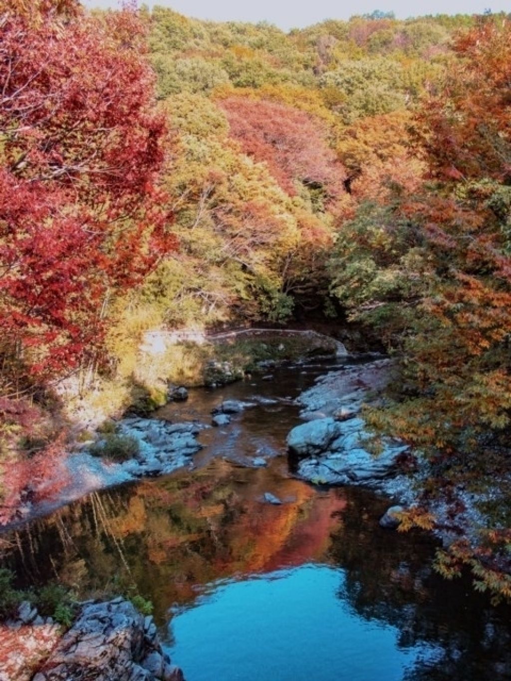 嵐山渓谷の紅葉 紅葉情報22